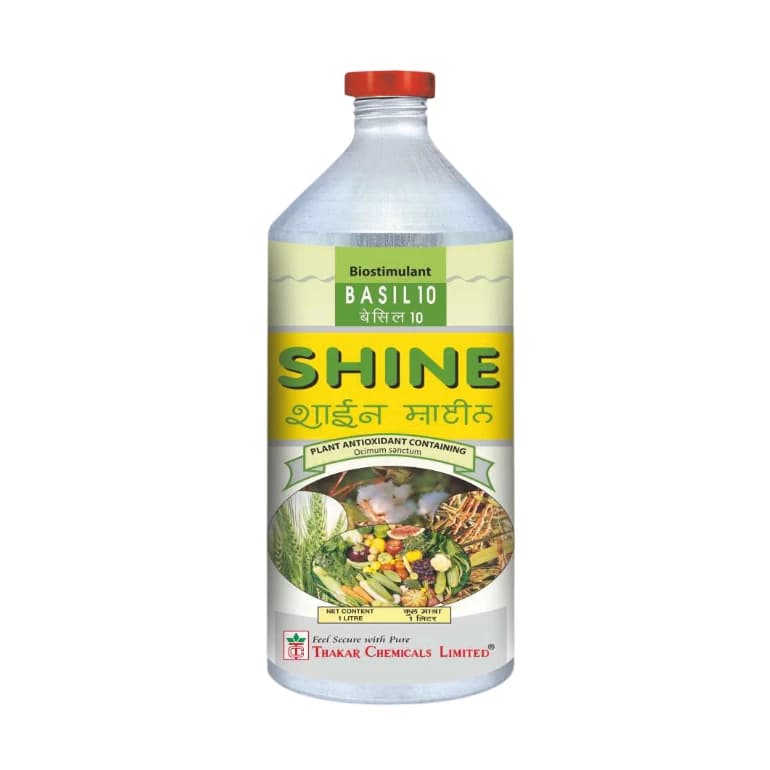 Thakar Shine Basil 10 Herbal Growth Enhancer Biostimulants For Increased Yield And Better Crop Quality - Image 1