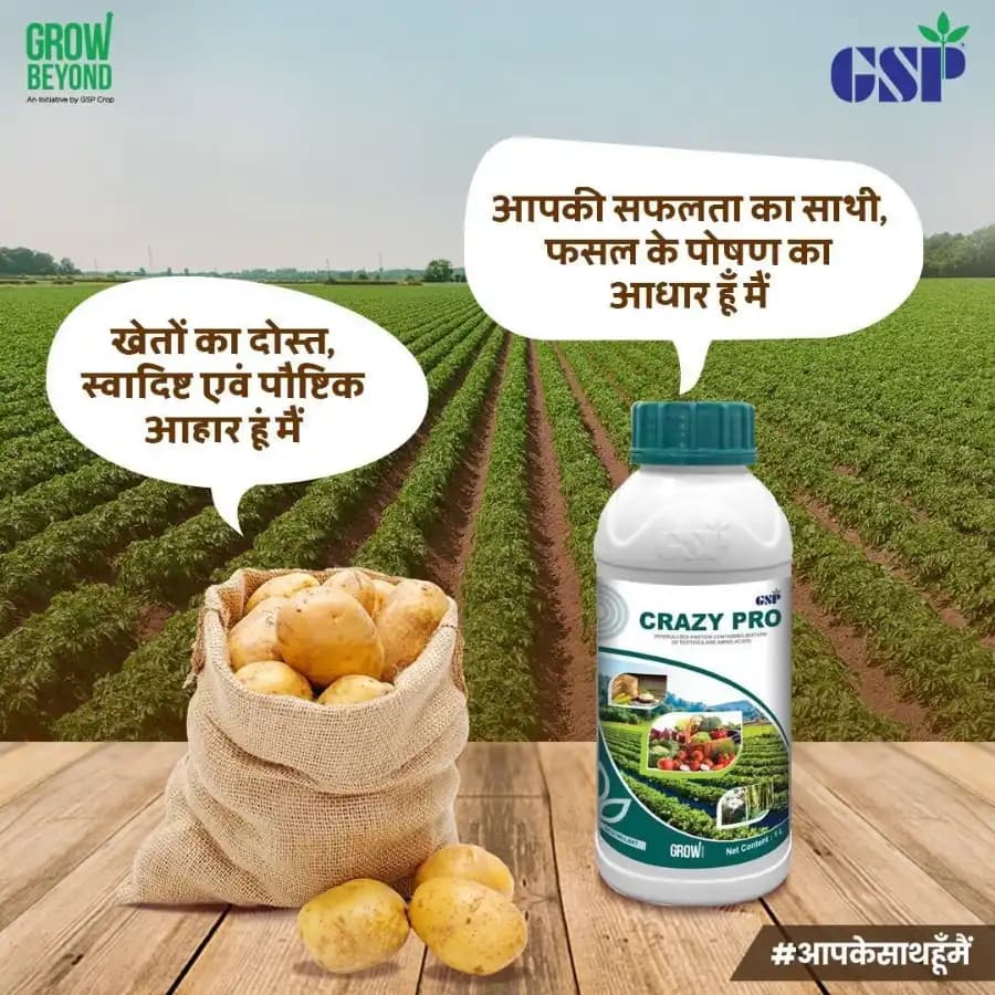 GSP Crazy Pro Hydrolyzed Protein, Amino Acids Bio-Stimulant, Mixture of Pepticide And Amino Acid - Image 2