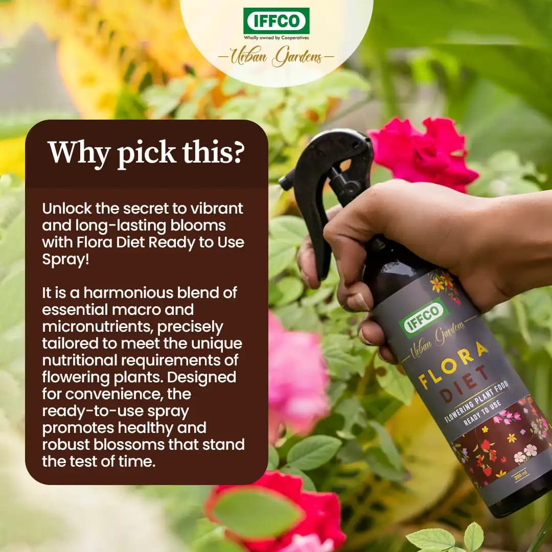 IFFCO Urban Garden Flora Diet Flowering Plant Food, Ready To Use Plant Nutrient Spray For Flowering - Image 4