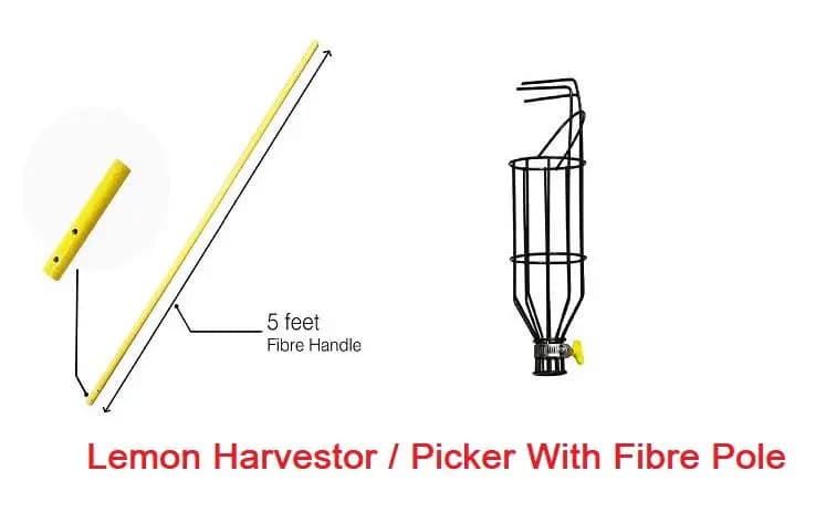 Hectare Fruit Harvester Or Picker For Lemon And Other Small Fruits Picker, Metal Material, Powder Rust Proof Coated. - Image 1