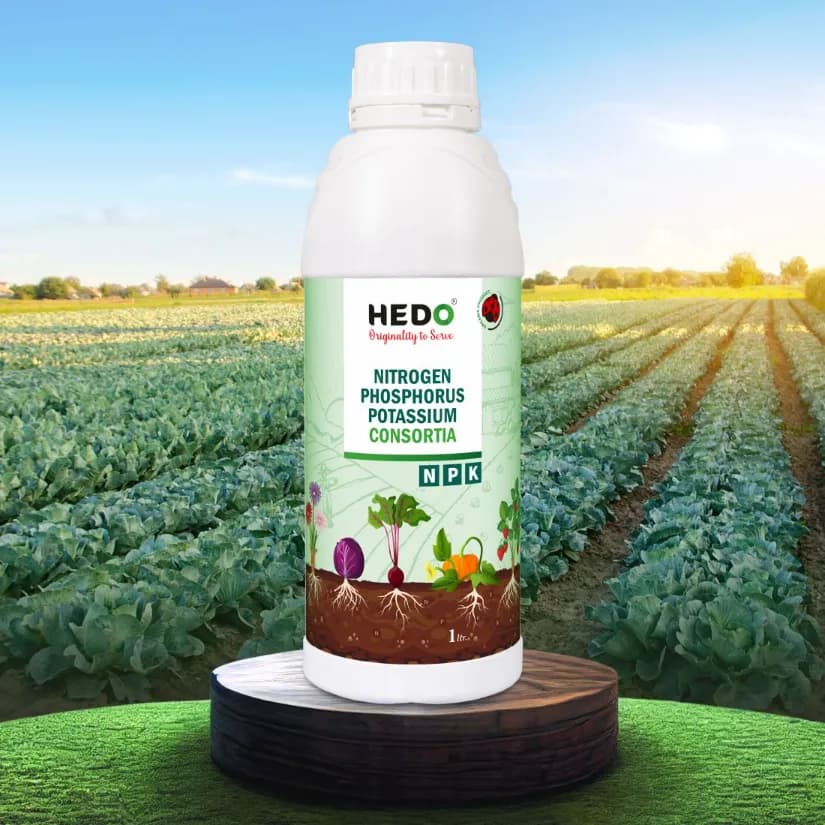 HEDO NPK Consortia (Bacteria) Liquid Bio Fertilizer For Agriculture, Garden, Soil Fertility And Plant Nutrition. - Image 7