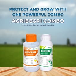 AgriBegri Combo Pack (Emoctan 250gm + Agrigib 500ml) Powerful Combination, Complete Crop Protection and Growth Solution 2