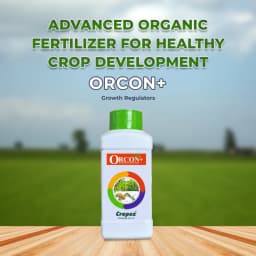 Orcon+ Speciality Adjuvant with Antifeedant Properties. For Chilli, Cotton & Paddy, Specially for Black Thrips In Chilli Crop 2