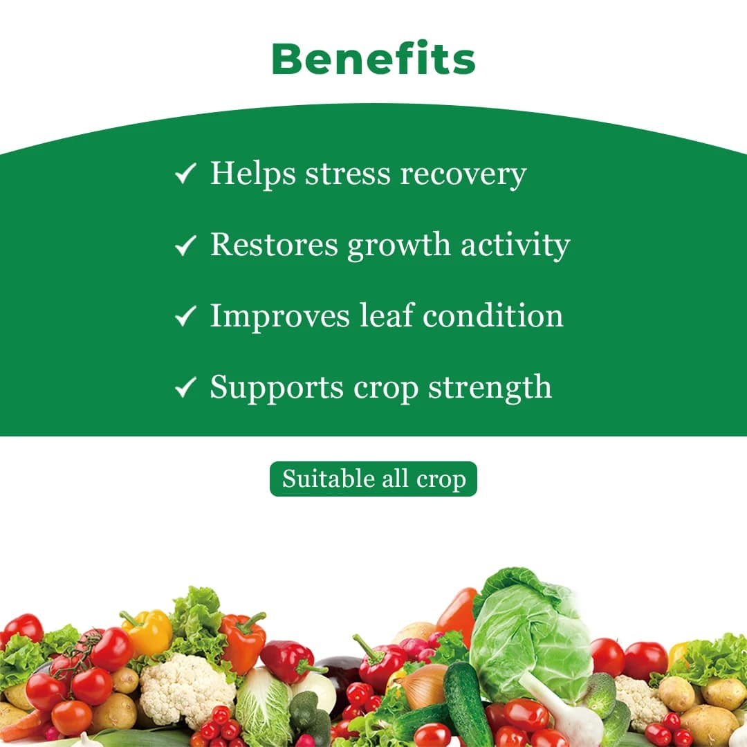 Geolife Recover Nutri Plant Immunity Builder, Non Toxic Fungus Antioxidant, Effective Against Fungus Diseases, Develop Immunity In Plants - Image 4