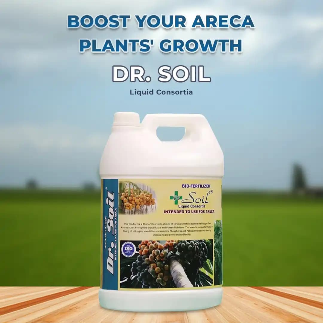 Dr. Soil Areca Special Fertilizer - Image 2