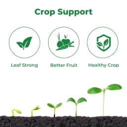 Iron Easy Fe-EDTA 12% Improves Chlorophyll formation, Prevents and Corrects Iron Deficiencies 3