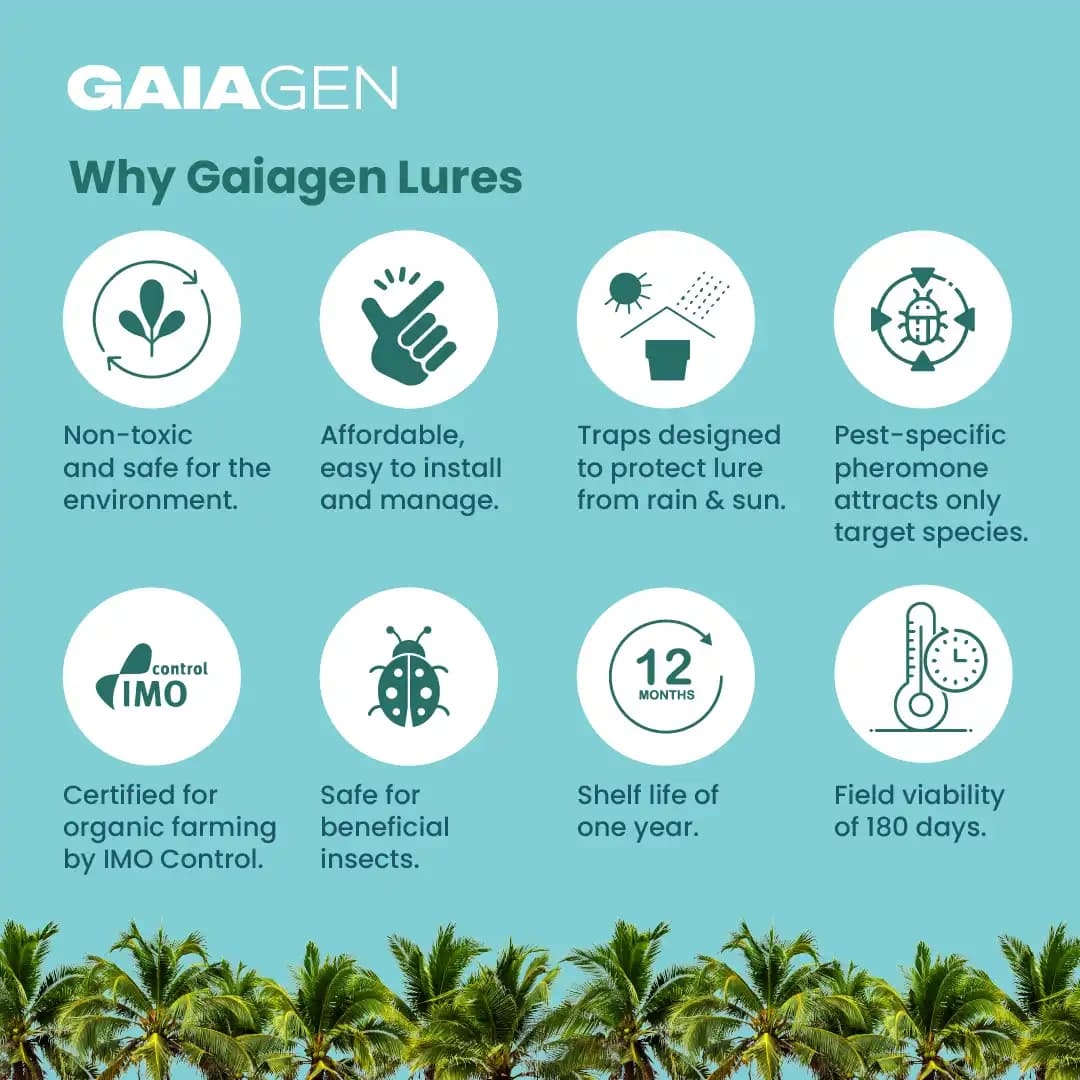 Gaiagen RPW Lure With Insect Bucket Traps, Pheromone Lure For Red Palm Weevil (Rhynchophorus Ferrugineus), IMO Certified. - Image 9