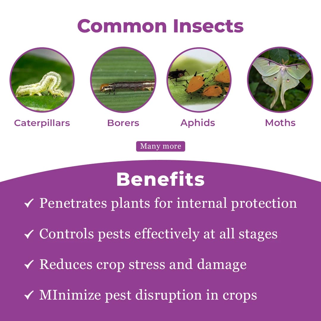 Titan Agritech Pepora Insecticide - Image 3