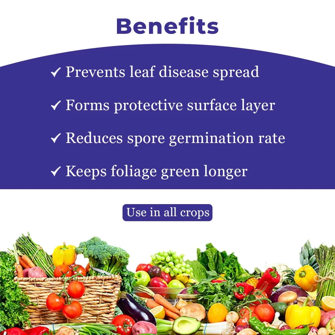 Exylon Mac-75 Fungicide - Mancozeb 75% WP - Image 4