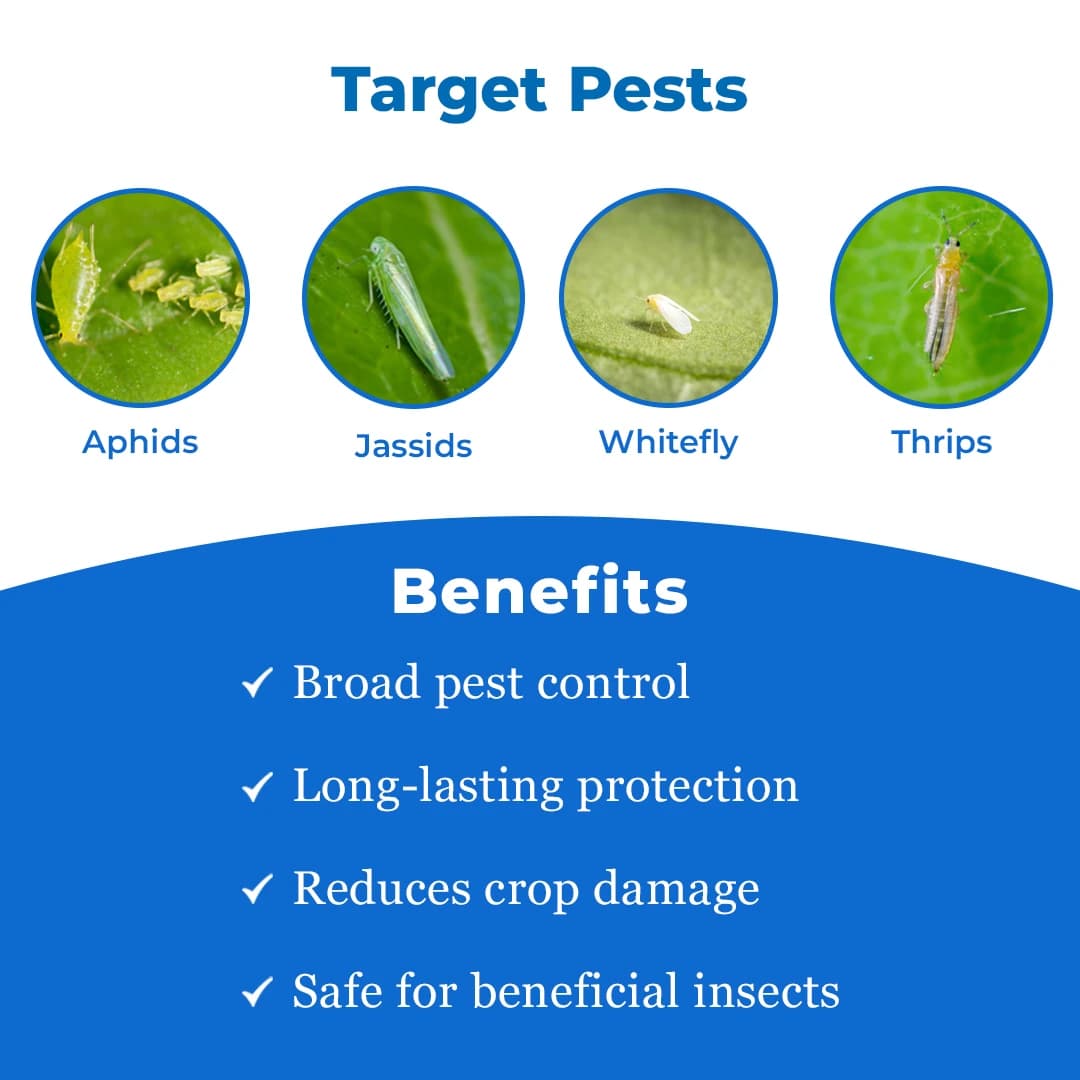 Bayer Confidor Imidacloprid 17.8% SL Broad Spectrum Insecticide, For Control of Aphid, Jassid, Thrips, White Fly, Termite, Hopper and Others - Image 3