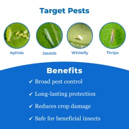 Bayer Confidor Imidacloprid 17.8% SL Broad Spectrum Insecticide, For Control of Aphid, Jassid, Thrips, White Fly, Termite, Hopper and Others 3
