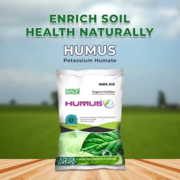 Bacf Humus Organic Fertilizer - Buy Online 2