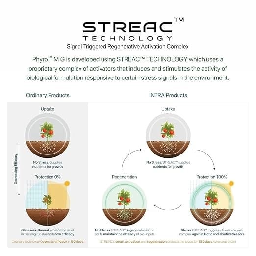 Inera PHYRO MG Mycorrhizal Bio Fertilizer, Eco-Friendly Fertilizer For Better Plant Health and Increased Crop Yield - Image 4