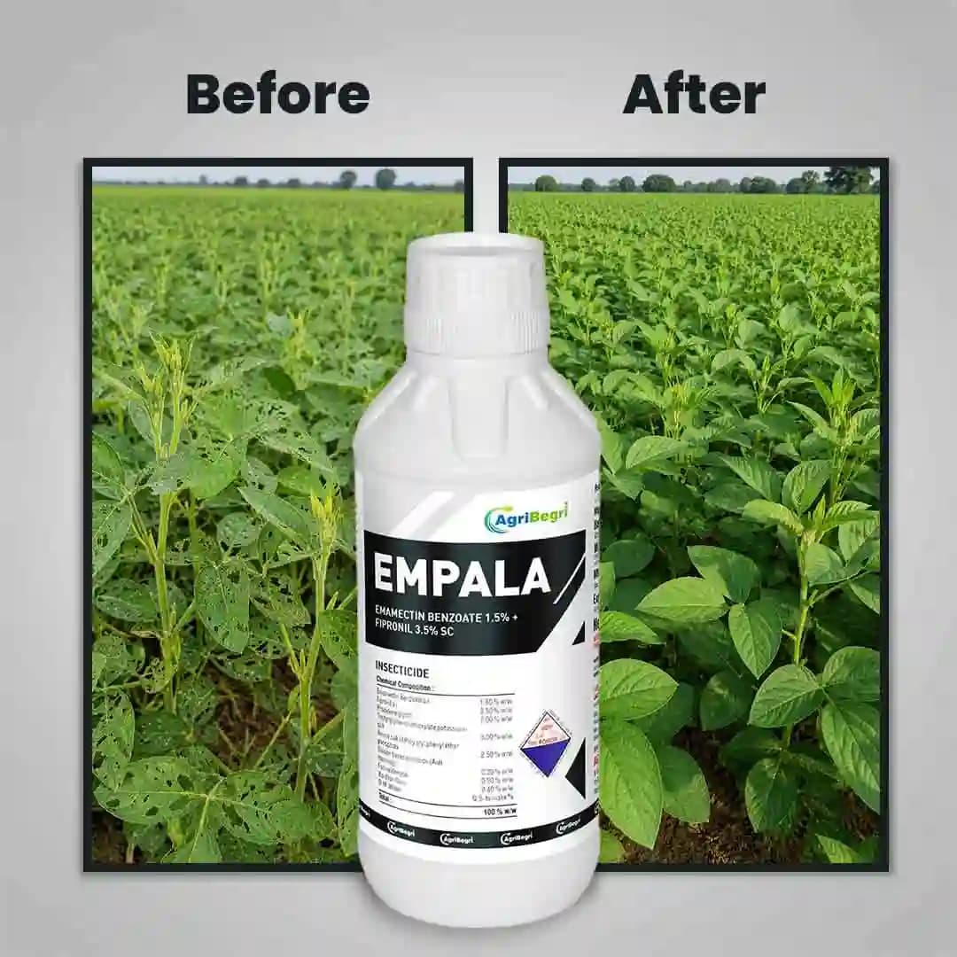 Empala Insecticide - Emamectin Benzoate 1.5% + Fipronil 3.5% SC - Image 3