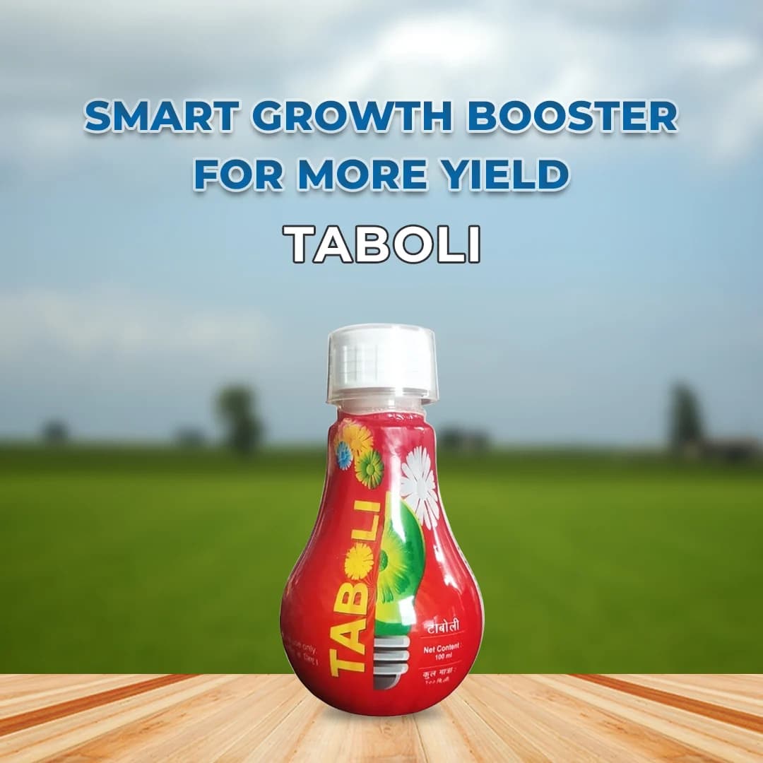 Sumitomo Taboli Plant Growth Promoter, Controls Tree Vigour, Reduces Pruning costs. - Image 2