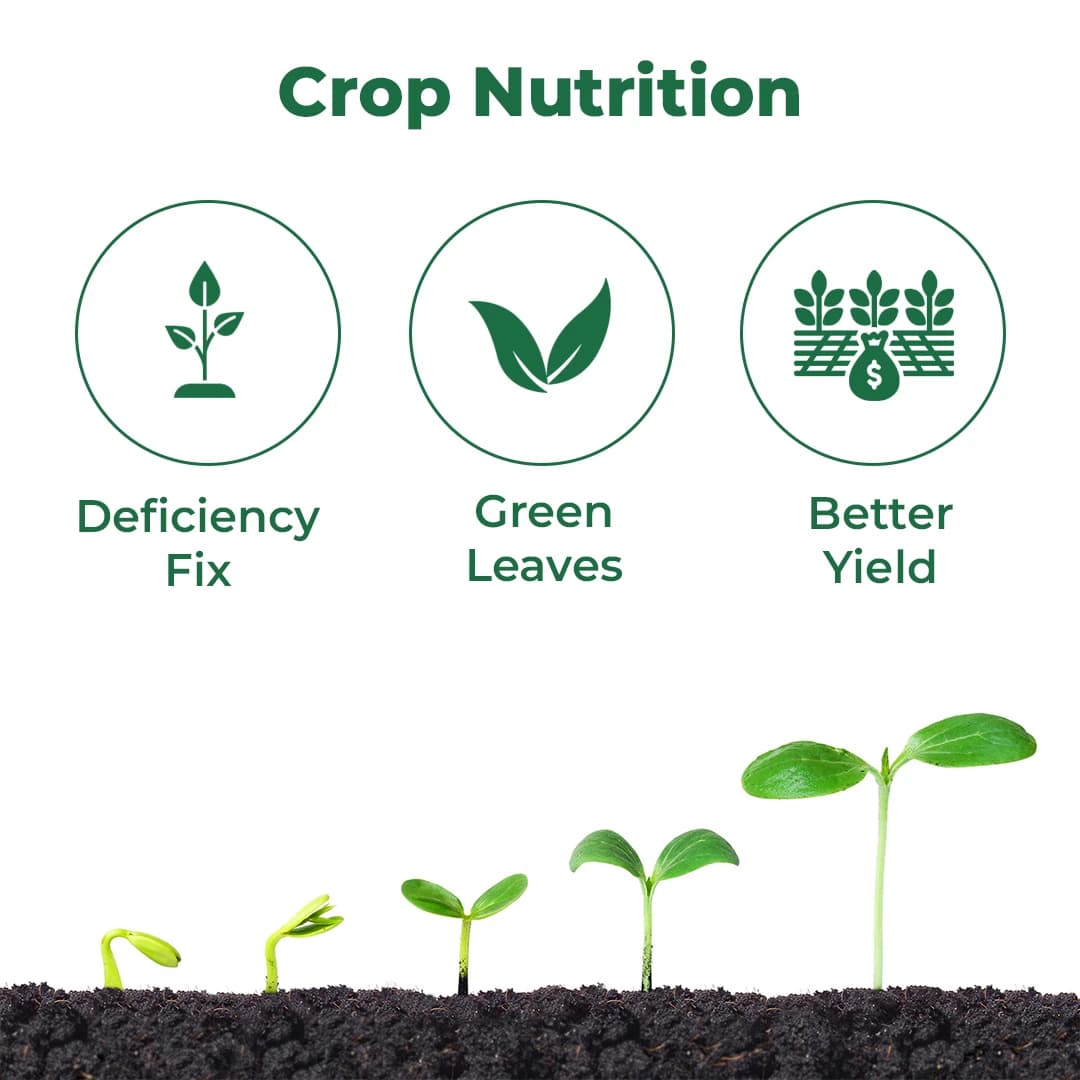 GACIL Enriched Multi Micronutrients Fertilizer Gujarat Grade 2 Growth Booster For Garden Plants - Image 3