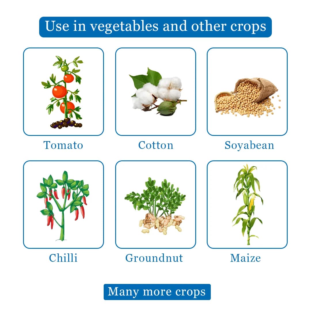 Thorlet - Thiamethoxam 12.6% + Lambda Cyhalothrin 9.5% Zc, Best Systemic Insecticide for Effective Control Against Sucking Pests - Image 4