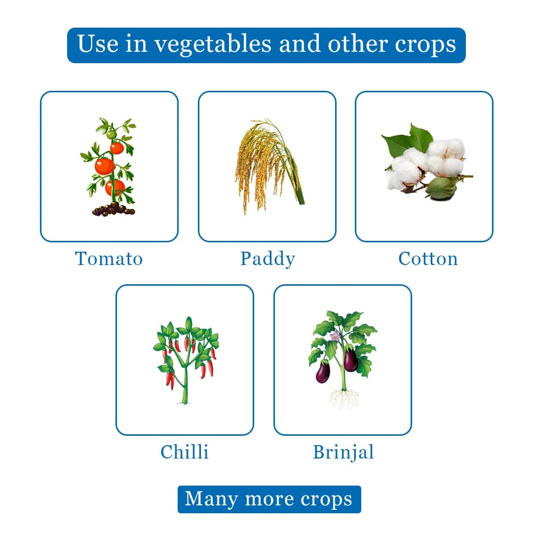 SML Vamos Insecticide - Image 4