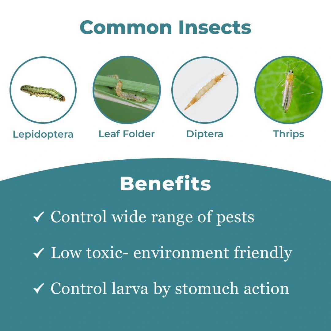 Emazek Insecticide - Emamectin Benzoate 1.9% EC - Image 3