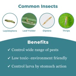 Emazek - Emamectin Benzoate 1.9% EC, Widely Used To Control Lepidoptera Pests 3