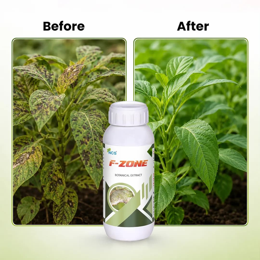 NCS F-Zone Botanical Extract - Bio Fungicide - Image 8