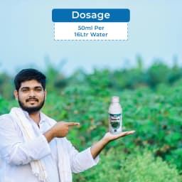 BACF Aminox , Amino acids , Plant cuticle waxes, and honey waxes, For All Type of Horticulture And Field Crops 5