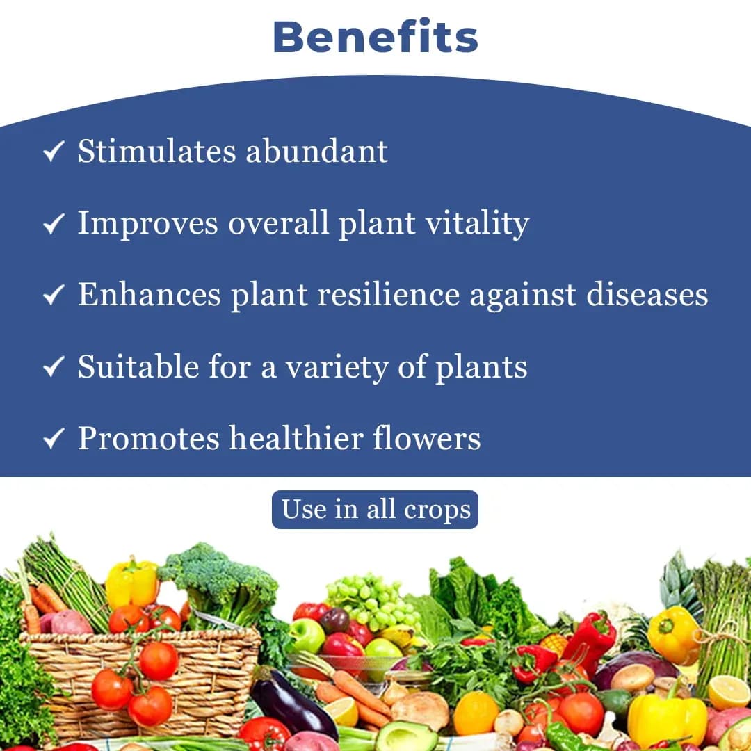 FLOWER MAGIC - Effective Flowering Stimulant and Enhancer, Combination Of N.B, Emulsifier, and Fulvic Acid - Image 4