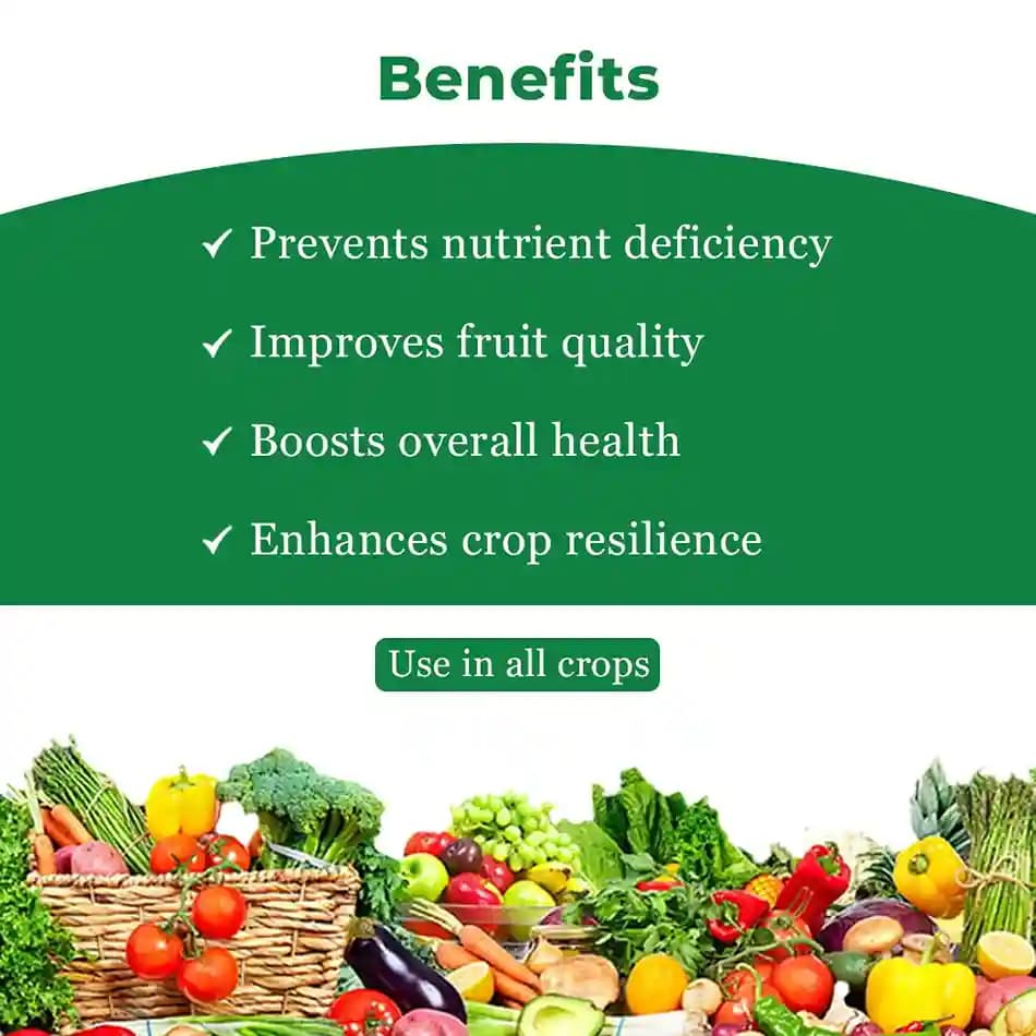 BACF Nutrixon Cal SL - Calcium, Boron, Amino acids. Prevents Fruit and Flower Dropping, Reduces Biotic And Abiotic Stress, Increases Fruit Size - Image 4