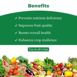 BACF Nutrixon Cal SL - Calcium, Boron, Amino acids. Prevents Fruit and Flower Dropping, Reduces Biotic And Abiotic Stress, Increases Fruit Size 4