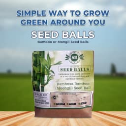 Seed Balls Just Throw & Grow (Bamboo or Mongil Seed Balls) Tree Seed Balls. Just throw on land or place in pot. 2