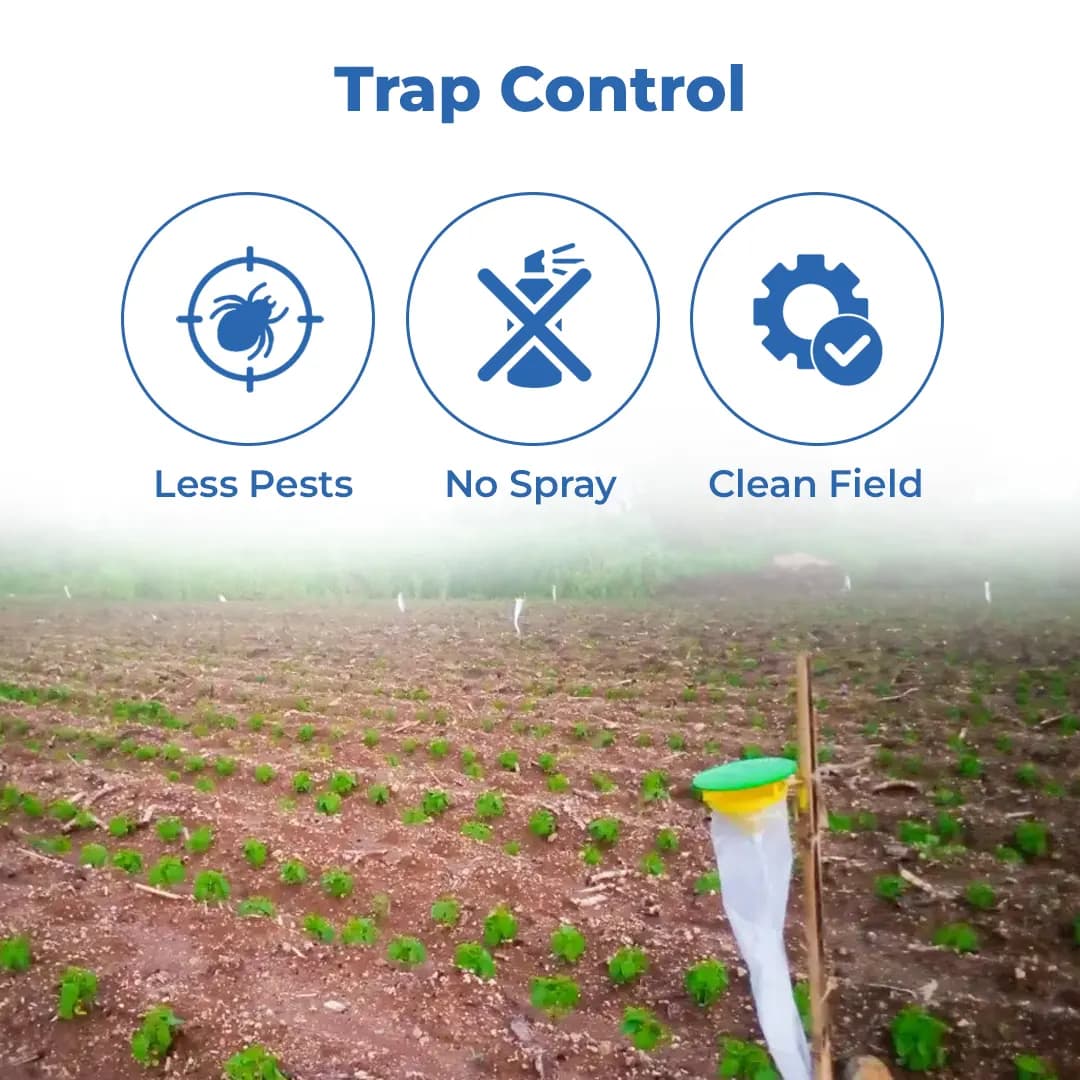 Funnel Trap with Spodo O Lure (Spodoptera Litura Pheromone) For Tobacco, Cotton, Red gram, Tomato and Chilli. - Image 3