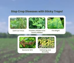 Chipku Pest Control Kit, Includes Gum Bag, Sticky Traps, DIY Pack , Gum Bottle, Yellow & Blue Polybags 6