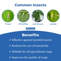 NB Neem - Natural and Water Soluble Neem Oil 345 PPM, Best Against Thrips, White Flies, Aphids, Leaf Miners And Bugs, Reduce Insect Growth 3