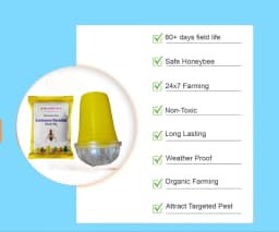 SK Agrotech Bactrocera Dorsalis Fruit Fly Pheromone Trap With Lure - Effective Solution For Mango, Papaya, Sapota, Etc. 5