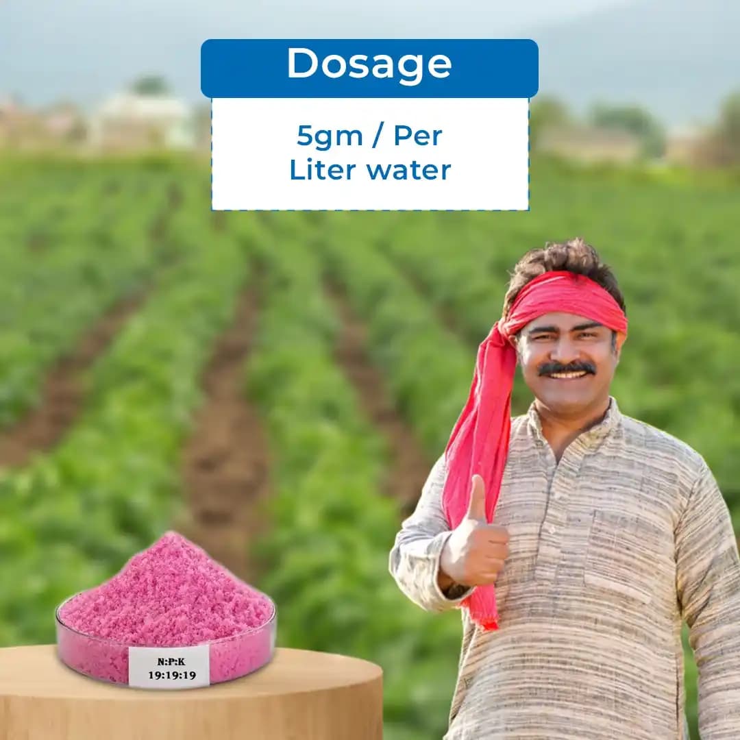 NPK 19:19:19 Water Soluble Fertilizer, 100% Water Soluble, Contain Nitrogen, Phosphorus And Potassium. - Image 5
