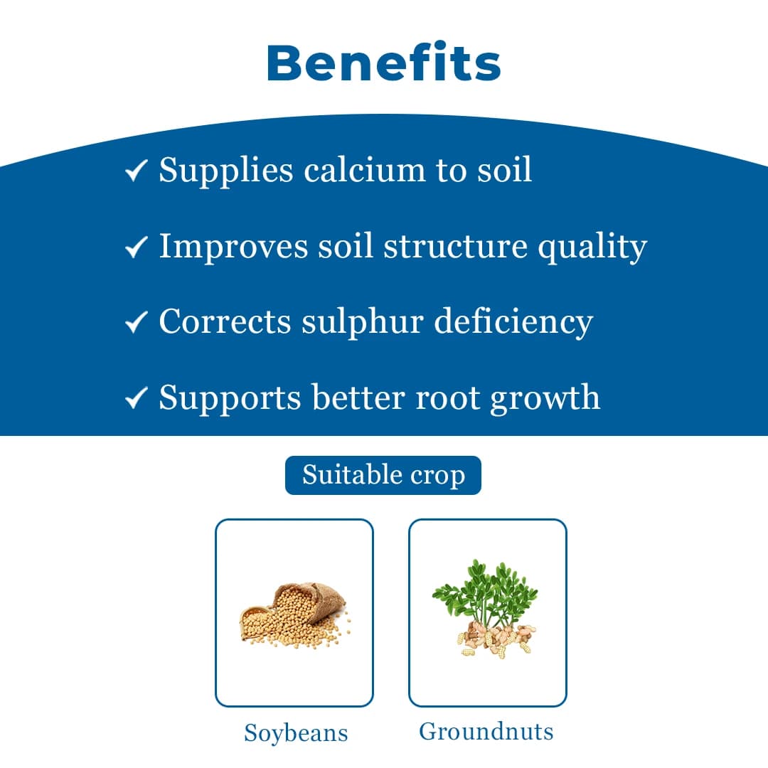 Gypsum Fertilizer - Calcium And Sulphur Soil Amendment - Image 4
