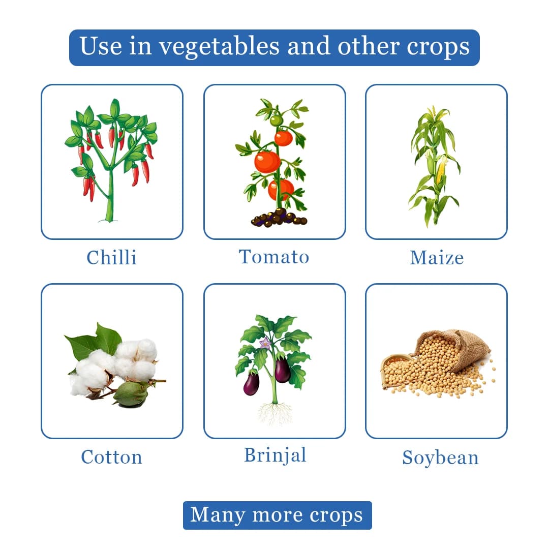 NB Neem - Natural and Water Soluble Neem Oil 345 PPM, Best Against Thrips, White Flies, Aphids, Leaf Miners And Bugs, Reduce Insect Growth - Image 4