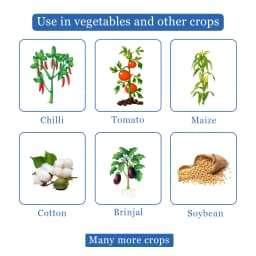 NB Neem - Natural and Water Soluble Neem Oil 345 PPM, Best Against Thrips, White Flies, Aphids, Leaf Miners And Bugs, Reduce Insect Growth 4