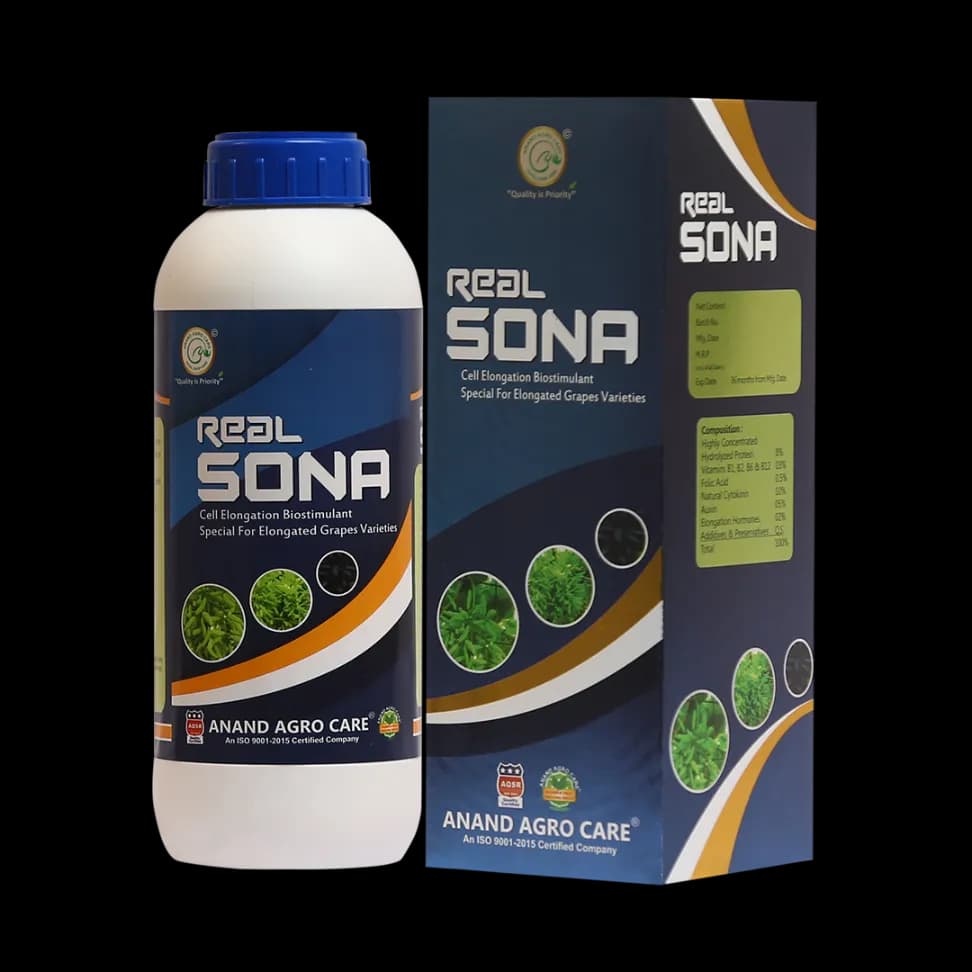 Real Sona (Grapes Special) Improves Length, Bunch Berry, Color & Weight Of Grapes - Image 4