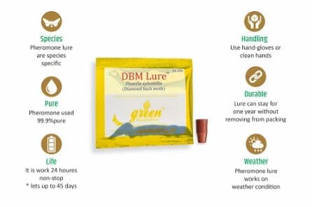 Delta Pheromone Trap with DBM Pheromone Lure for controlling Diamondback Moth (Plutella xylostella) - Image 7