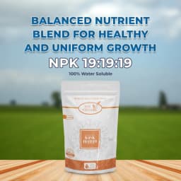 Agriventure NPK 19:19:19 Imported 100% Water Soluble Drip and Foliar Spray Fertilizer 2