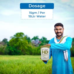 Aries FertiMax HD NPK 00:00:50 Potassium Sulphate Fertilizer, Excels In Providing Nutrients At Extremely Low Dosage 5