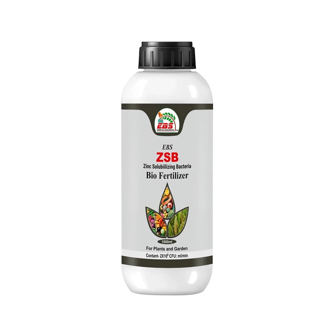 EBS Zinc Solubiilizing Bacterial Bio fertilizer (ZSB), For All Plants And Home Garden, Ecofriendly - Image 2