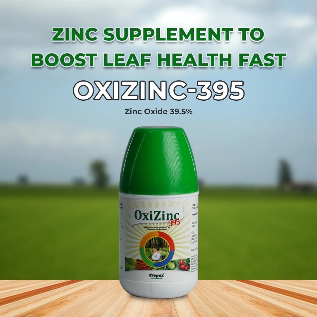 Oxizinc-395 Fertilizer - Zinc Oxide Suspension Concentrate 39.5% ZN - Image 2