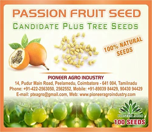 Pioneer Agro Industry Passion Fruit Tree Seed enhance the beauty of garden, landscapes, commercial crops, etc. - Image 1