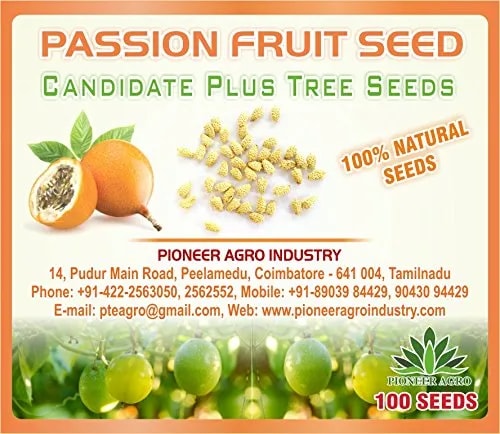 Pioneer Agro Industry Passion Fruit Tree Seed enhance the beauty of garden, landscapes, commercial crops, etc.