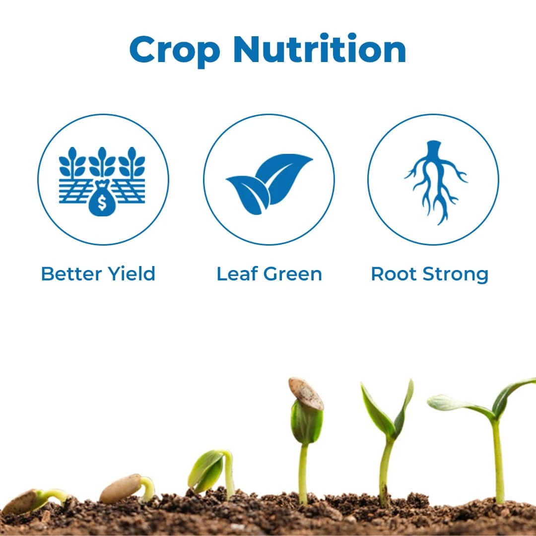 Cromin+ Ammonium Polyphosphate NPK 10:34:00 , Excellent Liquid Phosphatic Fertilizer - Image 3