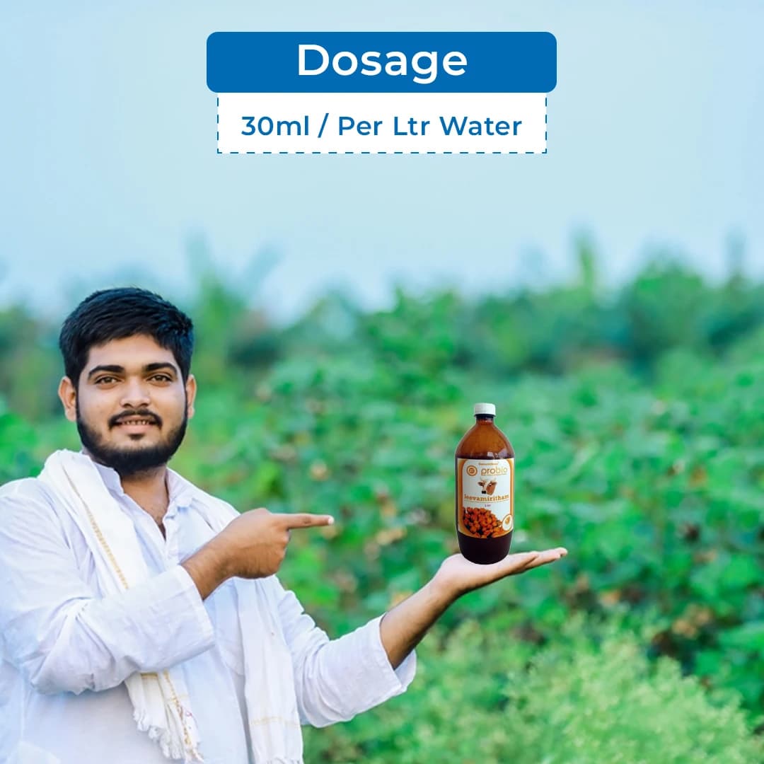 Probio Jeevamiritham Liquid - Organic Plant Growth Promoter - Image 5