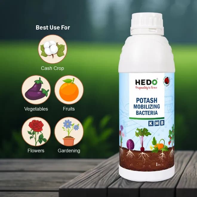 HEDO Potassium Mobilizing Bacteria (KMB) Liquid Bio Fertilizer, To Increase The Fruit Quality & Growth Of The Crops - Image 2