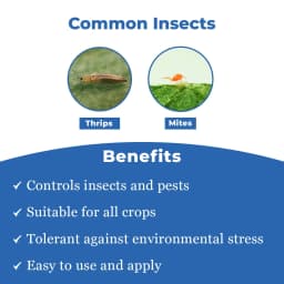 NCS Alpha - Botanical Extract For Thrips & Mites 3